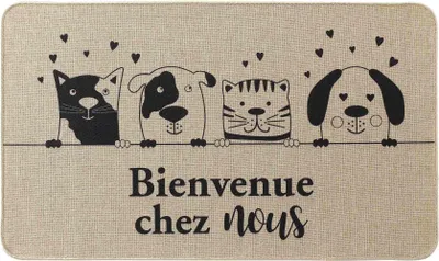 Image de Tapis Bienvenue chez nous