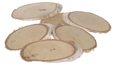 Produktbild von Birkenholzscheiben - Oval - Birke - Holz - Scheiben - Mini - Natur - Tischdekoration - ca. 8 x 4 cm / 5 mm Höhe - 1 VE = 15 Stück - 13406