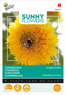 Artikelbild 2 von 'Niedrige Sonnenblume Sungold gefullte' aus der Kategorie Sonnenblumensamen