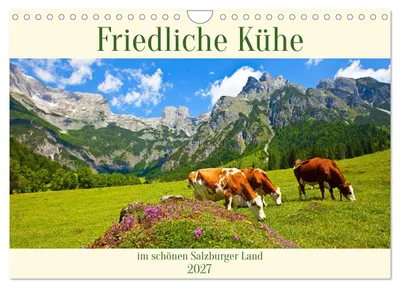 Produktbild von Friedliche Kühe (Wandkalender 2027 DIN A4 quer), CALVENDO Monatskalender