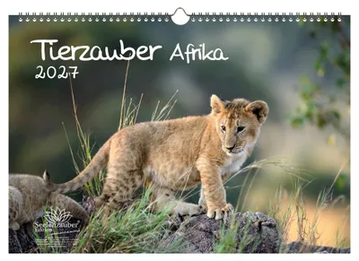 Produktbild von Tierzauber Afrika DIN A3 Kalender 2027 Tiere aus Afrika - Seelenzauber