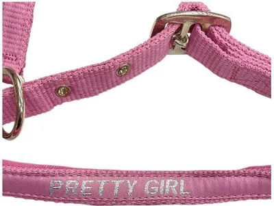 Immagine prodotto di Cavezza Horse Guard Malva Fairy Tale rosa con iscrizione, taglia:Shetty