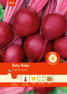 Produktbild von Pabst Keimkraft - Rote Rübe früh & rund Rote Kugel 2 Samen - 171415