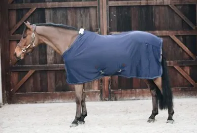 Produktbild von Kentucky Horsewear Abschwitzdecke Fleece Schwarz 155