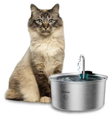 Image de Fontaine automatique pour animaux domestiques d'une capacité de 3,2 litres, en acier inoxydable, avec cascade.