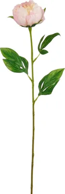 Produktbild von Mica Decorations Kunstpflanze Peonie hellrosa 60 cm