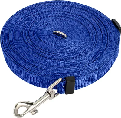 Immagine prodotto di Guinzaglio per cani 32,8 piedi regolabile, blu, per addestramento, escursioni, campeggio, cani di grossa taglia