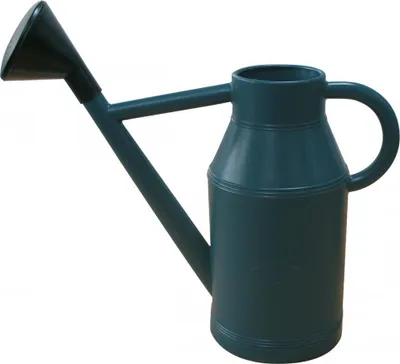 Image de Arrosoir plastique rond Lyonnais + pomme 6 L
