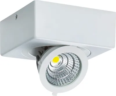 Obrázek produktu pro Stropní svítidlo LED 6W 4000K IP20 IGOR LED D 1275