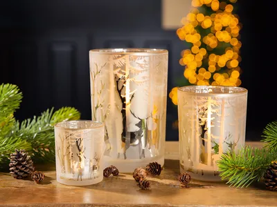 Produktbild von Gilde Glas Windlicht "Waldromantik" VE8 50870
