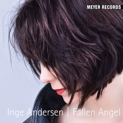 Produktbild von Andersen,Inge-Fallen Angel