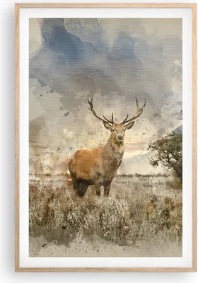Produktbild von Gerahmtes Poster - Rahmen in heller Eiche - rotwild natur - 61x91,5 cm - Wand Bild - Wanddeko - Wandbilder - Kunstposter - Wandposter - Bilderrahmen - Bilder - Kunstdruck - Wandbild - P2NPA61x91-3465