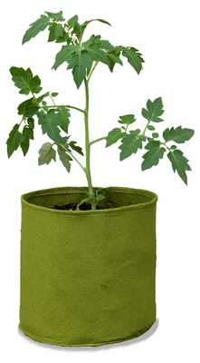 Imagen del producto de Sustrato para macetas Vigoroot, 10 litros, color verde, para uso en jardines