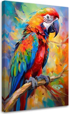 Produktbild von Leinwandbild Papagei Abstraktion Tiere 60x90 Feeby Bunt bild für die wand bereit zum aufhängen