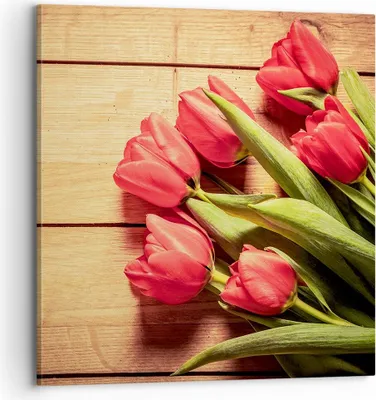 Produktbild von Bild auf Leinwand - Leinwandbild - Tulpen Blumenstrauß Sommer Garten - 70x70cm - Wand Bild - Wanddeko - Leinwanddruck - Bilder - Kunstdruck - Leinwand bilder - Wandkunst - AC70x70-2867