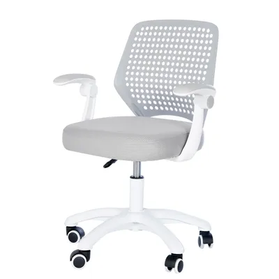 Produktbild von roba Kinderbürostuhl mit Armlehnen grau - Ergonomischer Drehstuhl - stufenlos höhenverstellbar - Mit Sicherheitsrollen - Modern & Stabil