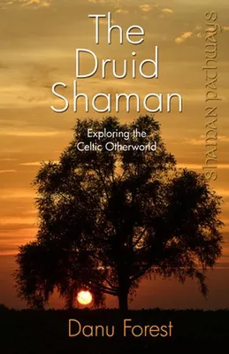 Imagen del producto de El chamán druida