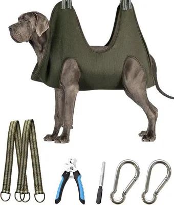 Image de Colliers pour chiens - Pour chiens - Taille XXX-Large