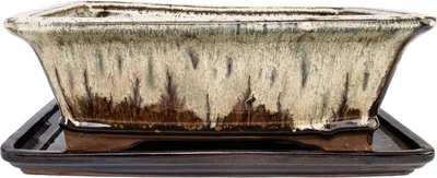 Image de bol bonsaï avec soucoupe taille 4 - glaçure spéciale avec effet dégradé de couleur noble - angulaire - crème/brun - l 26cm - b 20cm - h 8cm