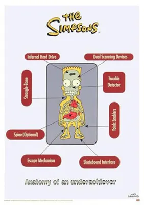 Produktbild von Simpsons - Skelett - Comic Film Movie Kino Poster Druck