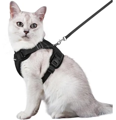 Produktbild von Katzengeschirr mit Leine Schwarz M ausbruchsicher verstellbar