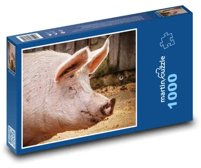 Produktbild von Puzzle 1000 Schwein auf dem Bauernhof - martinpuzzle