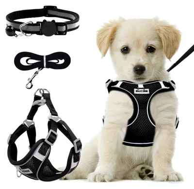 Imagen del producto de Arnés para perros - Antitirones - Reflectante - Talla S