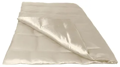 Produktbild von Bettbezug 135x200 cm champagner Glanz Satin beties