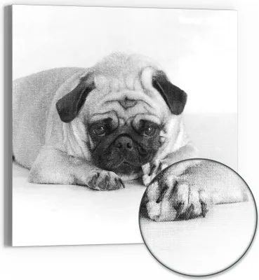 Produktbild von DEQORI Hybrid Leinwand Bild 50x50 cm 'Sanfte Blicke' Wandbild Glas flach modern