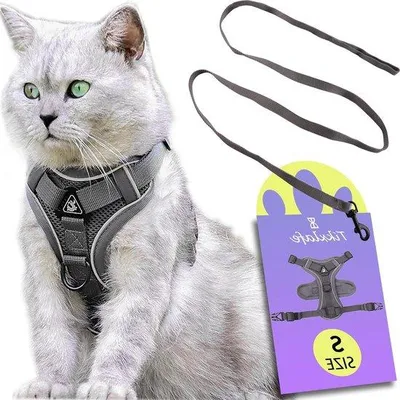 Produktbild von Famanu Katzenleine Set mit verstellbarem Geschirr und 150 cm langer Leine - Größe S
