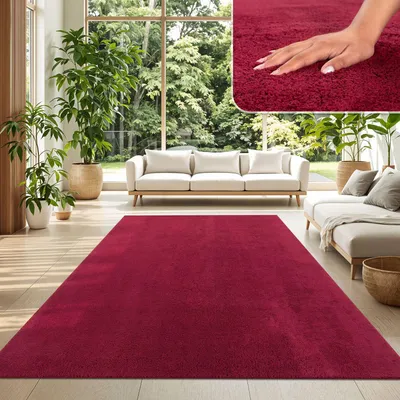 A living room with a large red rug, white sofas, and plants.