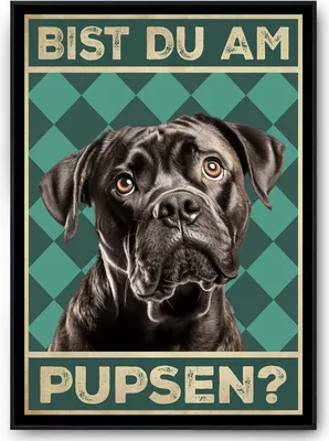 Produktbild von Cane Corso - Bist du am Pupsen? Hunde Poster Badezimmer Gästebad Wandbild Klo Toilette Dekoration Lustiges Gäste-WC Bild DIN A4 – DIN A4 mit Rahmen | Schwarz