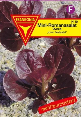 Produktbild von Romanasalat Ovired