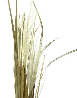 Produktbild von DPI Pampasgras Weiß in Trockenblumenoptik ca. 77 cm - Kunstblumen