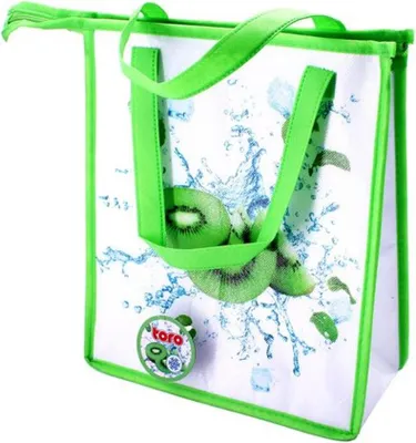 Obrázek produktu pro Taška Chladící Na Zip Kiwi 33X28X13Cm