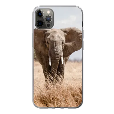 Produktbild von MuchoWow® Handyhülle Schutzhülle Hülle für iPhone 12 Pro Max Elefant - Natur - Tiere - Porträt Silikon Softcase Handy Hülle - Hartschale
