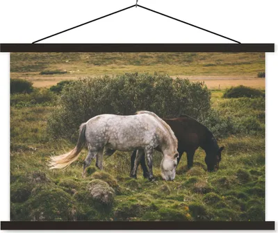 Produktbild von MuchoWow® Textilposter Pferde - Gras - Strauch 60x40 cm mit schwarzem Rahmen - Hölzernes