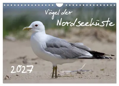 Produktbild von Vögel der Nordseeküste (Wandkalender 2027 DIN A4 quer), CALVENDO Monatskalender