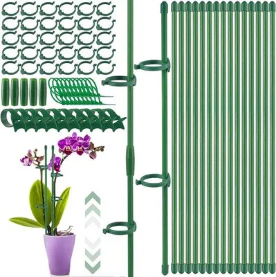Image de Supports pour orchidées et plantes, 30 cm, 80 pièces, vert, avec clips pour plantes