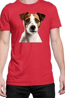 Produktbild von Herren T-Shirt Dogs Breeds Russell Terrier Dog Breed 005, Man L / Rot