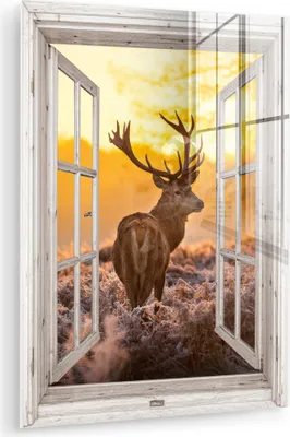 Produktbild von MuchoWow Glasbilder - Bilder auf Wandbild - Foto auf Glas Hirsche - Herbst - Tiere - Natur - Wald - Aussicht 30x40 cm Wanddekoration aus Glas - Acrylglasbild - Acrylbilder - Wohnzimmer - Fotos