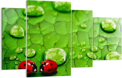 Produktbild von Bild auf Leinwand - Leinwandbild - Marienkäfer Gras Blatt Tropfen - 120x70cm - Wand Bild - Wanddeko - Leinwanddruck - Bilder - Kunstdruck - Wanddekoration - Leinwand bilder - Wandkunst - DL120x70-2363