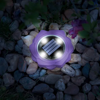 Immagine prodotto di Lampada da giardino a LED alimentata a energia solare – Viola – 4 LED SMD bianco freddo – Ø11,5 cm – con picchetto – Alimentazione solare – Si accende automaticamente al tramonto – Illuminazione decorativa da esterno per giardini e vialetti [11767C]