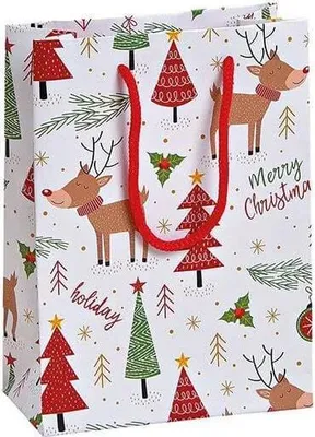 Produktbild von Kleine Geschenktüte 11x16x6cm