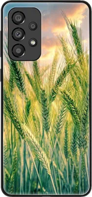 Produktbild von König Design Hülle kompatibel mit Samsung Galaxy A33 5G Kunststoff Soft Handyhülle - Handy Case Kornfeld