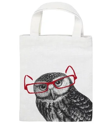 Imagen del producto de MOSES libri_x Buechertasche E