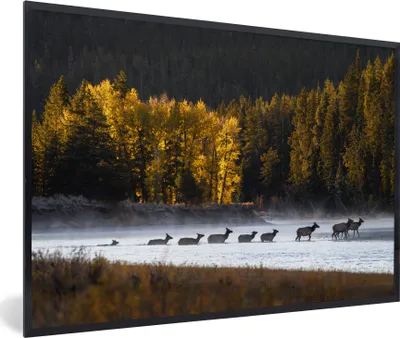 Produktbild von MuchoWow® MuchoWow® Gerahmtes Poster Hirsch - Wald - Fluss 60x40 cm - Poster mit zchwarzem Bilderrahmen - Printing - Wanddeko Schlafzimmer