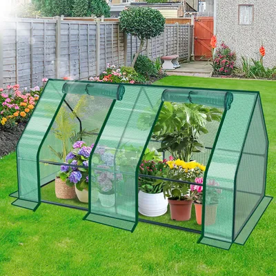 Image de TolleTour Serre Serre à tomates Précocité 180 x 90 x 90 cm Vert