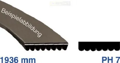 A V-belt is shown, with its measurements and profile type displayed.
