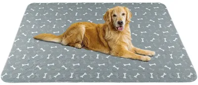 Imagen del producto de Solidchoice - Alfombra absorbente para orina de mascotas, 182 x 182 cm